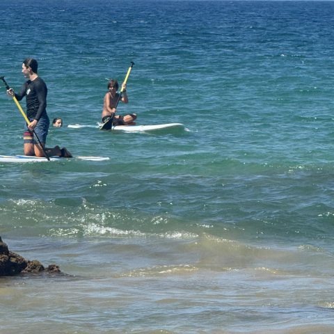 a group of people surfing in the ocean