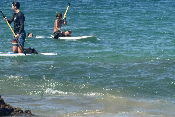 a group of people surfing in the ocean