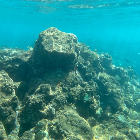 underwater view of a large rock