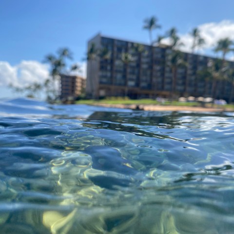 a large body of water