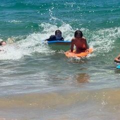 a group of people surfing in the ocean