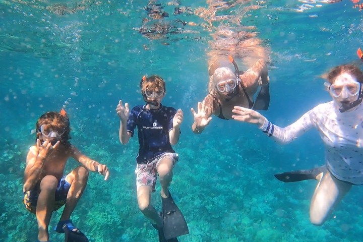 a group of people swimming in a pool of water