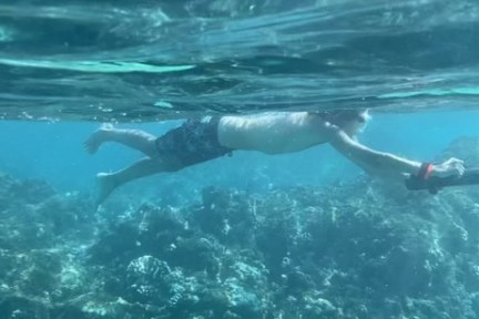 a person swimming in the water